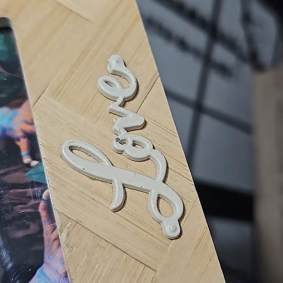 Framed 4x4 Chameleon Gecko Hybrid Lizard Art Watercolor Oil Painting Print - Picture 4 of 9